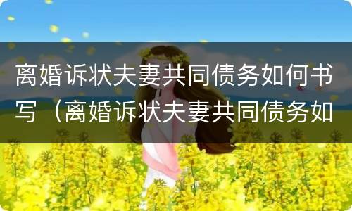 离婚诉状夫妻共同债务如何书写（离婚诉状夫妻共同债务如何书写的）