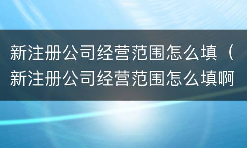 新注册公司经营范围怎么填（新注册公司经营范围怎么填啊）