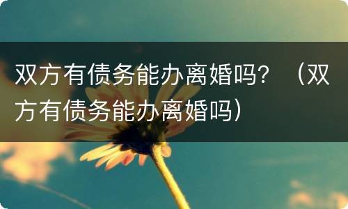双方有债务能办离婚吗？（双方有债务能办离婚吗）