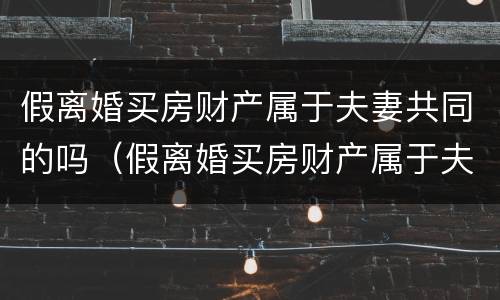 假离婚买房财产属于夫妻共同的吗（假离婚买房财产属于夫妻共同的吗怎么算）