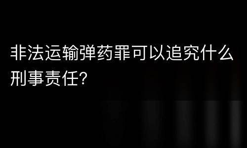 非法运输弹药罪可以追究什么刑事责任？