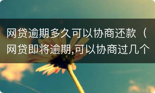 网贷逾期多久可以协商还款（网贷即将逾期,可以协商过几个月还吗?）