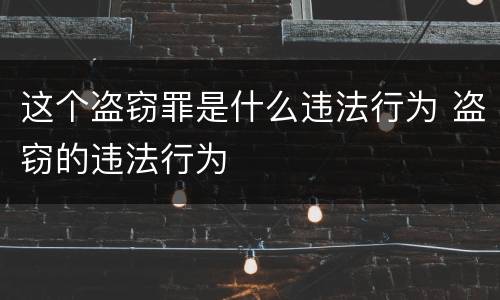这个盗窃罪是什么违法行为 盗窃的违法行为
