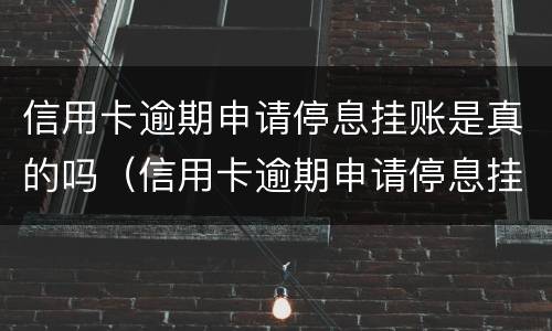 信用卡逾期申请停息挂账是真的吗（信用卡逾期申请停息挂账是真的吗吗）