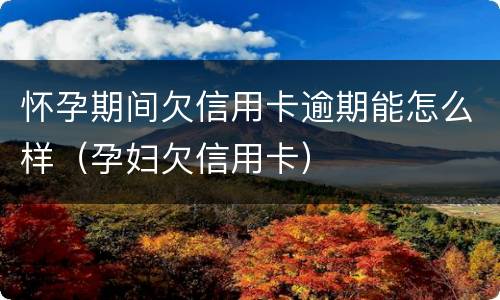 怀孕期间欠信用卡逾期能怎么样（孕妇欠信用卡）