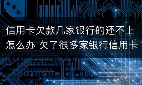 信用卡欠款几家银行的还不上怎么办 欠了很多家银行信用卡还不上怎么办