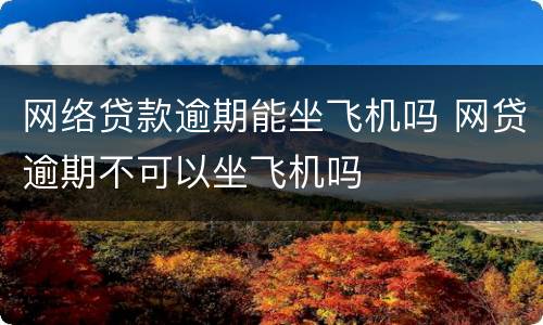 网络贷款逾期能坐飞机吗 网贷逾期不可以坐飞机吗