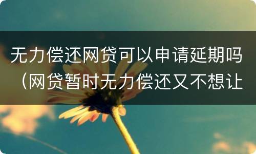 无力偿还网贷可以申请延期吗（网贷暂时无力偿还又不想让家人知道可以申请延期吗?）