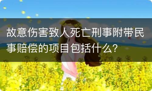 故意伤害致人死亡刑事附带民事赔偿的项目包括什么？
