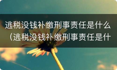 逃税没钱补缴刑事责任是什么（逃税没钱补缴刑事责任是什么情况）