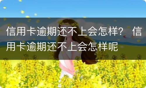 信用卡逾期还不上会怎样？ 信用卡逾期还不上会怎样呢