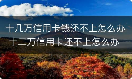 十几万信用卡钱还不上怎么办 十二万信用卡还不上怎么办