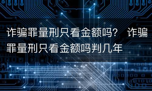 诈骗罪量刑只看金额吗？ 诈骗罪量刑只看金额吗判几年
