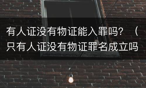 有人证没有物证能入罪吗？（只有人证没有物证罪名成立吗）