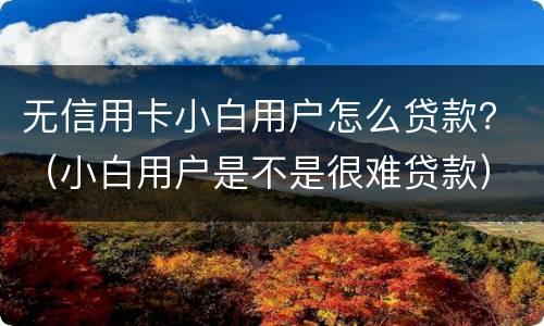 无信用卡小白用户怎么贷款？（小白用户是不是很难贷款）