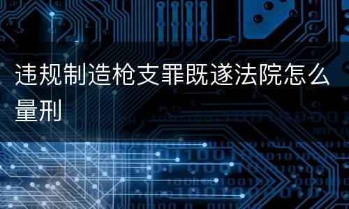违规制造枪支罪既遂法院怎么量刑