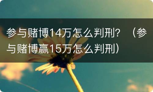参与赌博14万怎么判刑？（参与赌博赢15万怎么判刑）