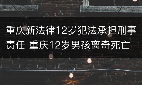 重庆新法律12岁犯法承担刑事责任 重庆12岁男孩离奇死亡