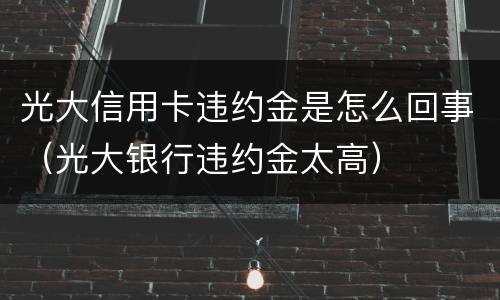 光大信用卡违约金是怎么回事（光大银行违约金太高）