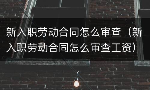 新入职劳动合同怎么审查（新入职劳动合同怎么审查工资）