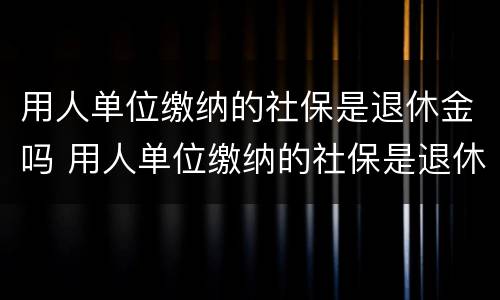 用人单位缴纳的社保是退休金吗 用人单位缴纳的社保是退休金吗