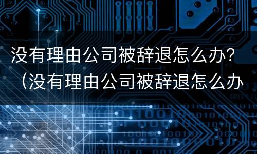 没有理由公司被辞退怎么办？（没有理由公司被辞退怎么办呢）