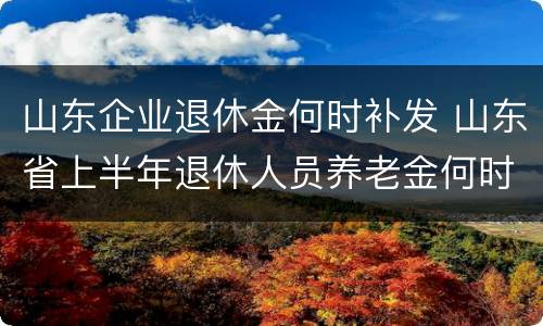 山东企业退休金何时补发 山东省上半年退休人员养老金何时补发