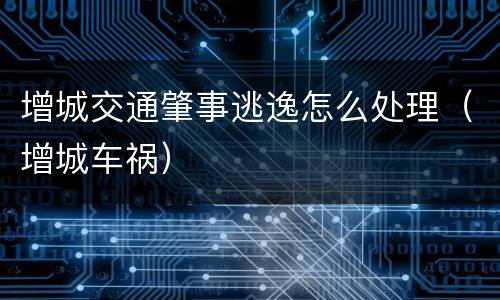 增城交通肇事逃逸怎么处理（增城车祸）