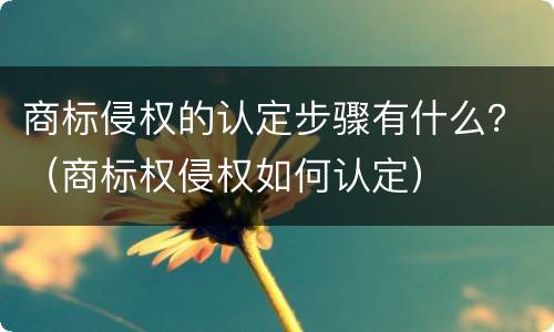 商标侵权的认定步骤有什么？（商标权侵权如何认定）