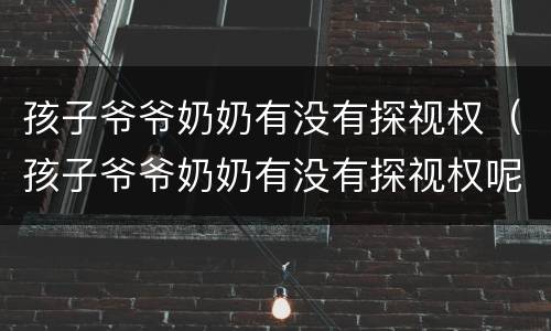 孩子爷爷奶奶有没有探视权（孩子爷爷奶奶有没有探视权呢）
