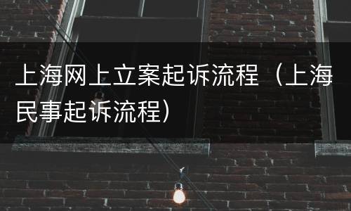 上海网上立案起诉流程（上海民事起诉流程）