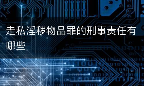 走私淫秽物品罪的刑事责任有哪些