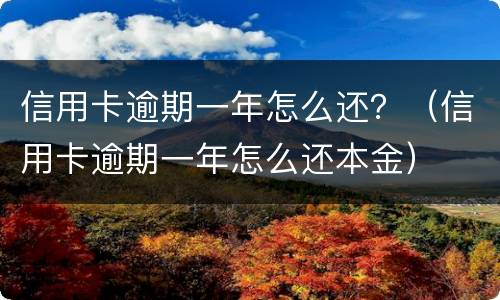 信用卡逾期一年怎么还？（信用卡逾期一年怎么还本金）