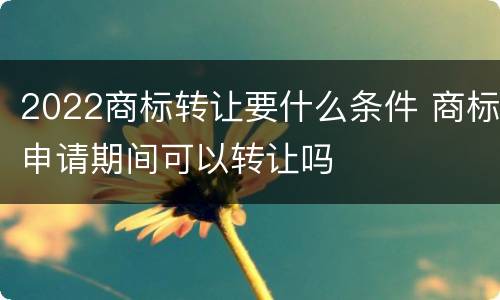 2022商标转让要什么条件 商标申请期间可以转让吗