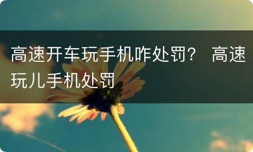 高速开车玩手机咋处罚？ 高速玩儿手机处罚