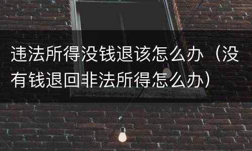 违法所得没钱退该怎么办（没有钱退回非法所得怎么办）