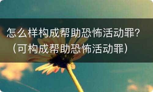 怎么样构成帮助恐怖活动罪？（可构成帮助恐怖活动罪）