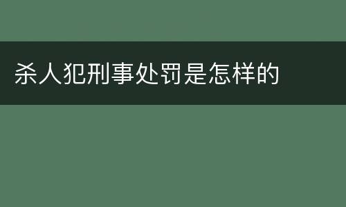 杀人犯刑事处罚是怎样的