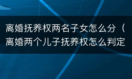 离婚抚养权两名子女怎么分（离婚两个儿子抚养权怎么判定）