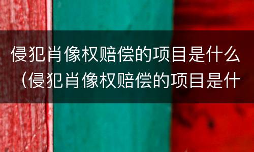 侵犯肖像权赔偿的项目是什么（侵犯肖像权赔偿的项目是什么样的）