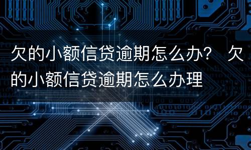 欠的小额信贷逾期怎么办？ 欠的小额信贷逾期怎么办理