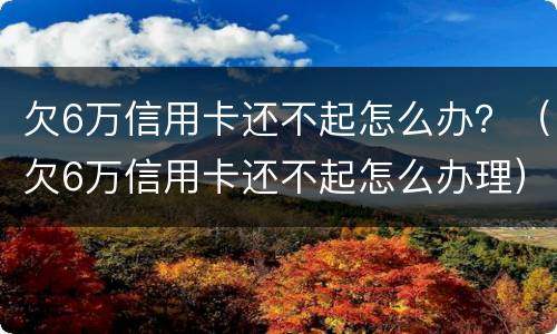 欠6万信用卡还不起怎么办？（欠6万信用卡还不起怎么办理）
