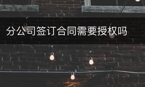 分公司签订合同需要授权吗