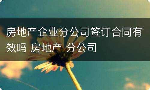 房地产企业分公司签订合同有效吗 房地产 分公司