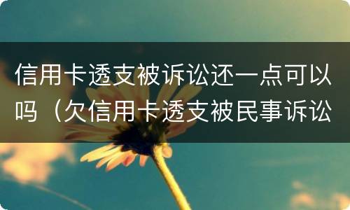 信用卡透支被诉讼还一点可以吗（欠信用卡透支被民事诉讼怎么办）
