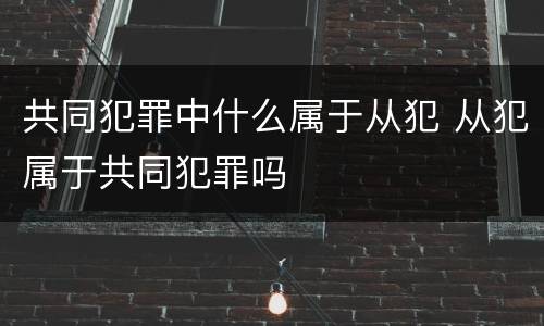 共同犯罪中什么属于从犯 从犯属于共同犯罪吗