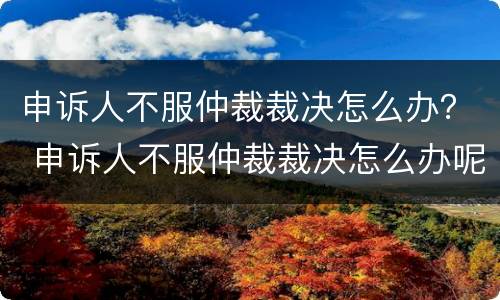 申诉人不服仲裁裁决怎么办？ 申诉人不服仲裁裁决怎么办呢