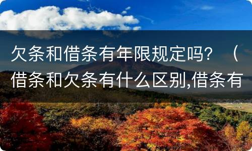 欠条和借条有年限规定吗？（借条和欠条有什么区别,借条有年限吗）