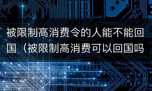 被限制高消费令的人能不能回国（被限制高消费可以回国吗）
