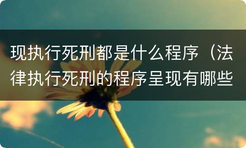 现执行死刑都是什么程序（法律执行死刑的程序呈现有哪些?）